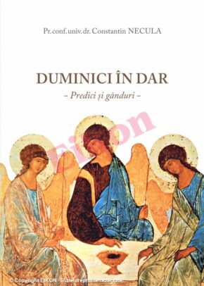 Alternative view of Duminici in dar - predici si ganduri
