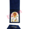 Holy Great Martyr and Healer Panteleimon