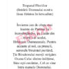 Intrarea Domnului în Ierusalim (Duminica Floriilor) - imagine 3