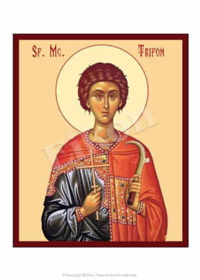 Sf. Mc. Trifon
