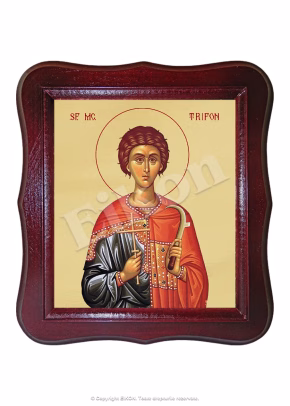 Sf. Mc. Trifon