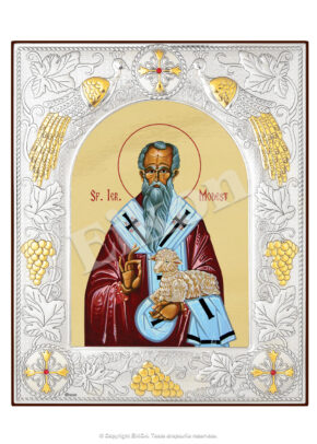 Sfântul Ierarh Modest, Patriarhul Ierusalimului