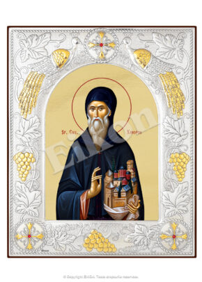 Sfântul Cuvios Xenofon